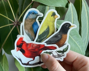Songbird Stickers - Bluebird, Robin, Cardinal, Goldfinch: Waterproof Vinyl