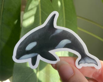 Orca Sticker: Waterproof Vinyl