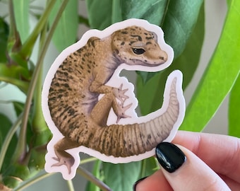 Leopard Gecko Sticker: Waterproof Vinyl
