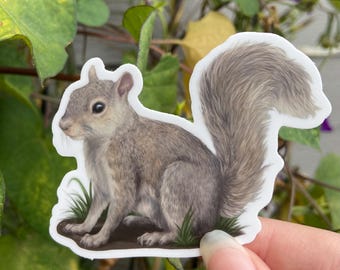 Squirrel Sticker: Waterproof Vinyl