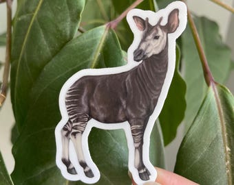 Okapi Sticker: Waterproof Vinyl