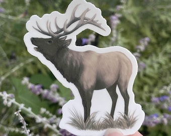 Rocky Mountain Elk Sticker: Waterproof Vinyl