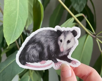 Virginia Opossum Sticker: Waterproof Vinyl