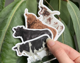 Cow Stickers - Angus, Holstein, Highland, Texas Longhorn