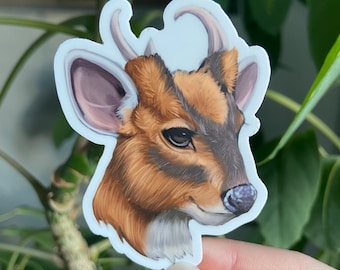 Muntjac Deer Sticker: Waterproof Vinyl
