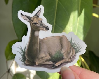 Whitetail Deer Doe Sticker: Waterproof Vinyl