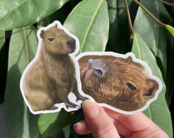 Capybara Sticker: Wildlife Art, Waterproof Vinyl