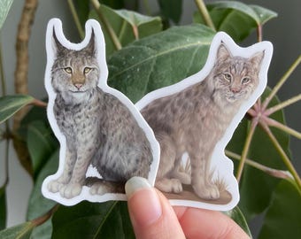 Bobcat & Lynx Stickers: Waterproof Vinyl Decal for Water Bottles