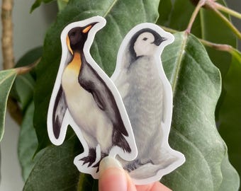Penguin Stickers | Baby Penguin Sticker | King Penguin Sticker: Waterproof Vinyl