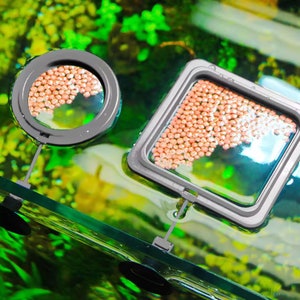 Kaufen Sie 2 erhalten Sie 1 freie Aquarium Entengrütze Floater Fish Feeder mit Saugnapf