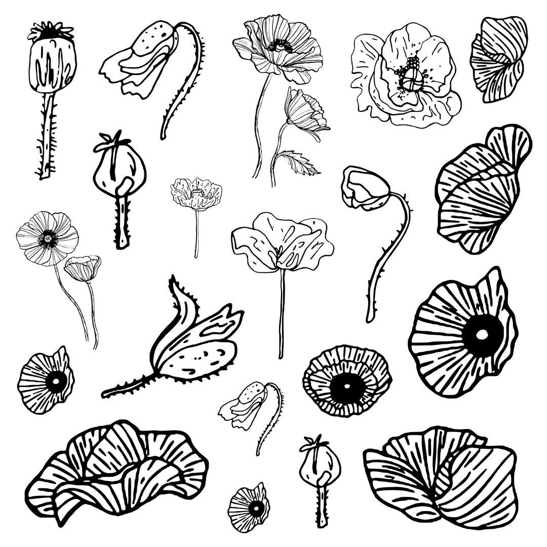 Poppy Cut Files Poppy Svg Bundle, Floral Clipart, Poppy Vector, Remembrance Day Decal ...