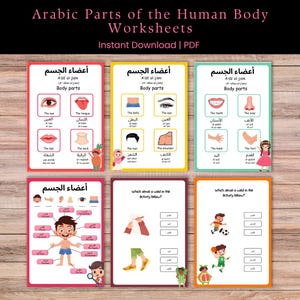 Arabic Parts of the Human Body Worksheets | Arabic Learning Printables for Kids & Students | Educational Language Activity Sheets