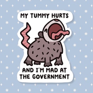 Tummy Hurts Mad At Government Possum Sticker, Funny Meme Sticker, Cute Waterproof Sticker, Neurodivergent, Trash Cat, Animal Stickers