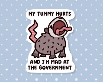 Tummy Hurts Mad At Government Possum Sticker, Funny Meme Sticker, Cute Waterproof Sticker, Neurodivergent, Trash Cat, Animal Stickers