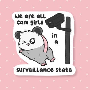 We Are All Cam Girls In A Surveillance State Sticker,  Funny Anti Flock Camera Meme, Cute Possum Waterproof Sticker,  Sarcastic Gift Under 5