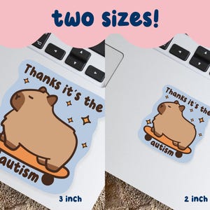 May include: Two stickers on a laptop, featuring a cartoon capybara on a skateboard. The stickers are light brown with the text "Thanks it's the autism" and star accents. One sticker is 7.6 cm, the other is 5.1 cm.