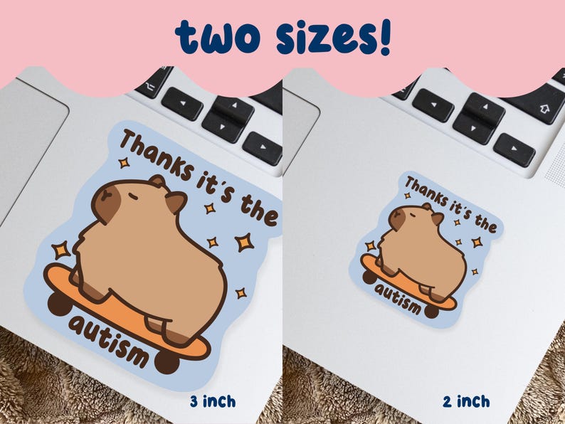 May include: Two stickers on a laptop, featuring a cartoon capybara on a skateboard. The stickers are light brown with the text "Thanks it's the autism" and star accents. One sticker is 7.6 cm, the other is 5.1 cm.