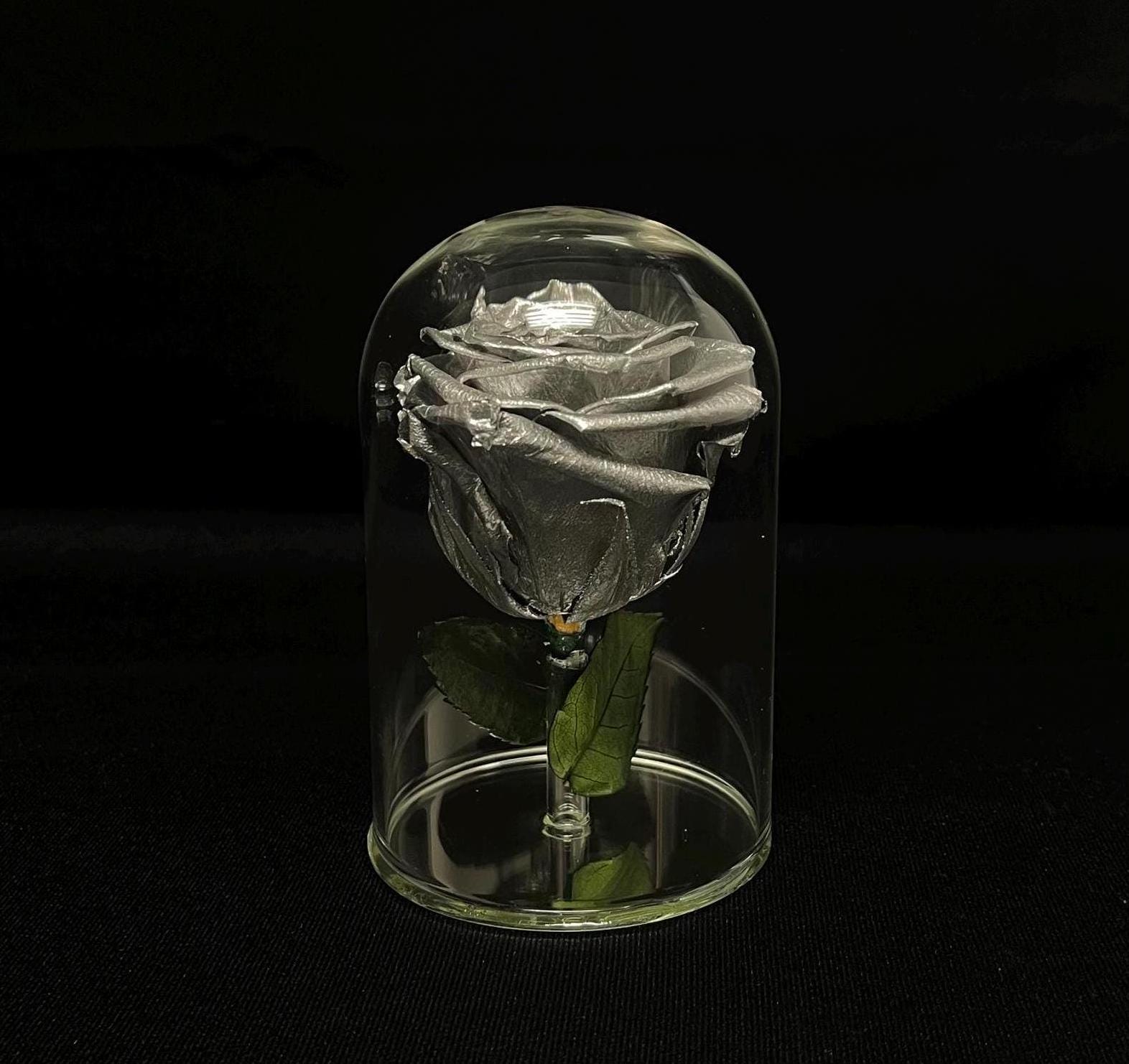 Rose In Glass Real Preserved Rose in 5