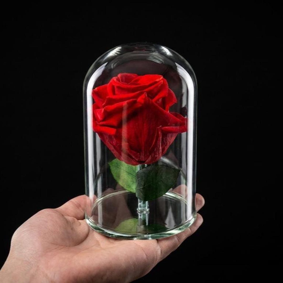 Rose In Glass Real Preserved Rose in 5