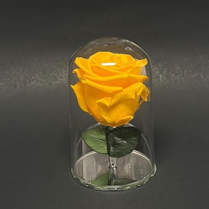 Real Preserved Rose in 5&quot; Glass Dome - Forever Rose in Glass Dome with Mirror Base - Forever Rose Gifts