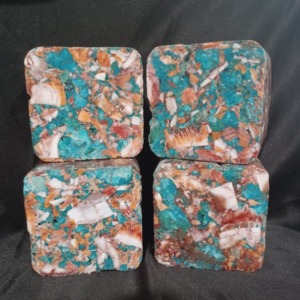 LARGE Natural Spiny Oyster and Turquoise Composite Blocks