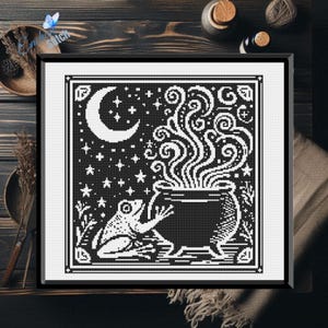May include: Framed black and white cross-stitch art depicting a crescent moon, stars, and a cauldron with rising steam. A frog is positioned next to the cauldron. The artwork is on a dark wooden surface.