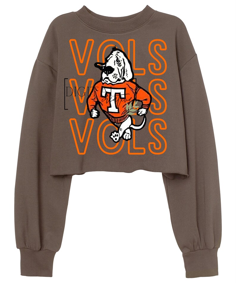 Tennessee Vols  Smocked Orange Gingham Boys Bubble main image 1