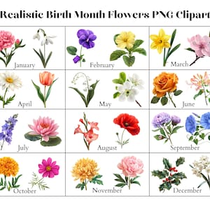 Flores realistas do mês do nascimento | 24 flores com 12 flores de enchimento e folhagens | PNG clipart | 5"x5" | 300 DPI | Download digital | Link do Canva