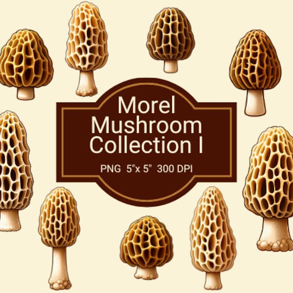 Morel Mushroom Digital Art & Clipart - High-Resolution 300 DPI PNG - 5x5 inches - Collection I - Digital Download - Editable Canva Template