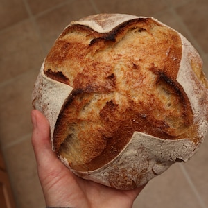 Dehydrated Sourdough Starter | Active Sourdough Starter | Healthy Bread | Fermented Bread | Probiotic Bread | Yeast alternative