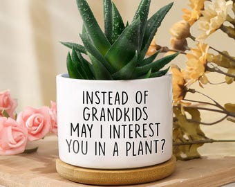 Instead Of Grandkids May I Interest You In A Plant, Funny Mini Succulent Planter Gift for Mom, Funny Gift for Mom, Mothers Day Flower Pot