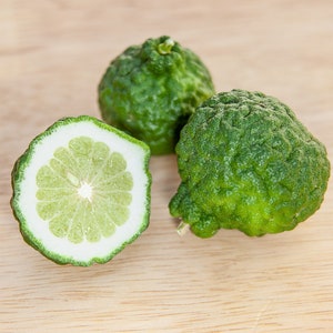 Fruit frais et citron vert kaffir biologique : authentique makrut thaïlandais à usage culinaire et thérapeutique.