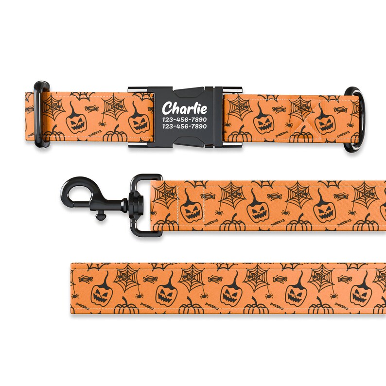 May include: Orange and black dog collar and leash set with a Halloween pumpkin and spiderweb pattern. The collar has a black buckle with the name "Charlie" and phone number "123-456-7890" printed on it.