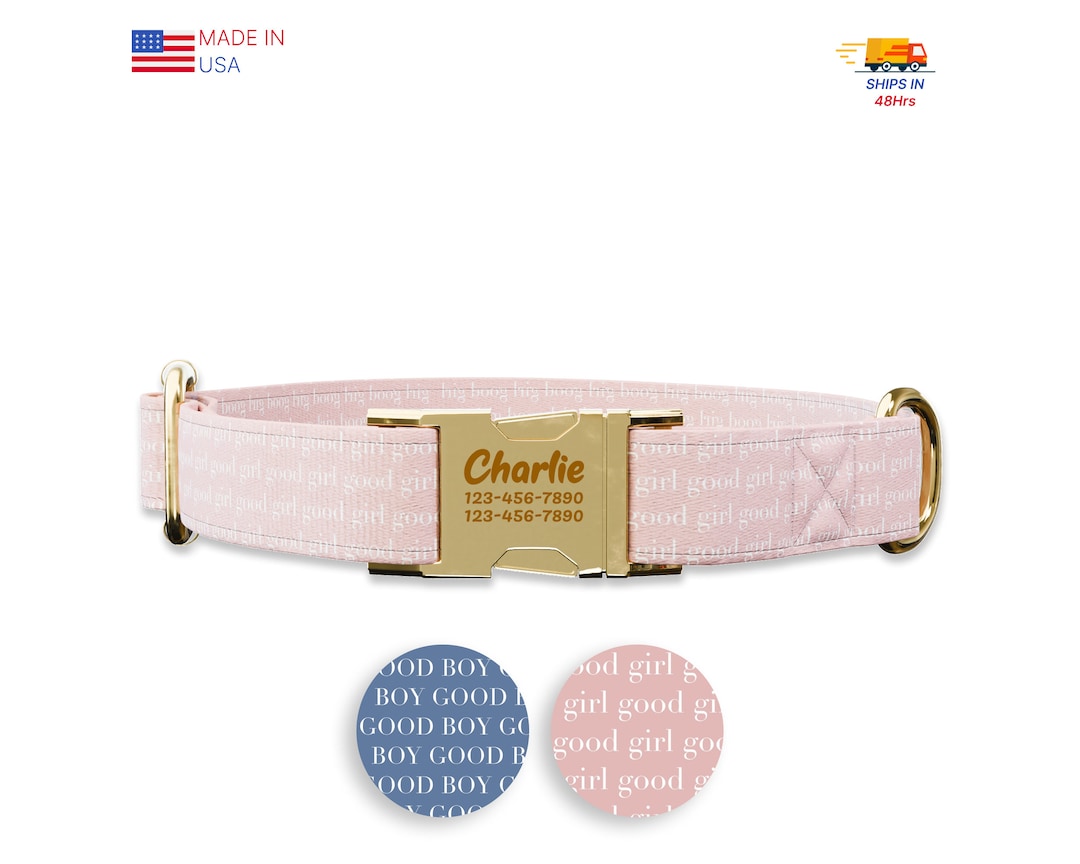 Buckle Girl Puppy Collar And Lead Female Dog Collars With Bling