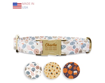 Pumpkin fall  Dog collar w/ metal buckle, HAND MADE,  Personalized Collar, 1" inch wide, Matching leash, Autumn