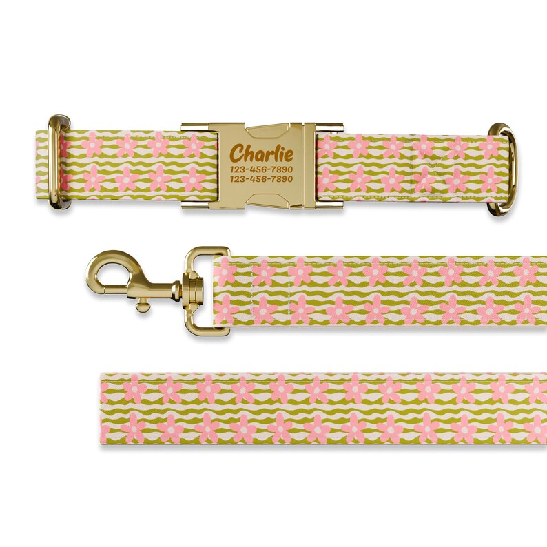 May include: A gold dog collar and leash set with a pink and green floral pattern. The collar has a gold buckle with the name "Charlie" and a phone number engraved on it.