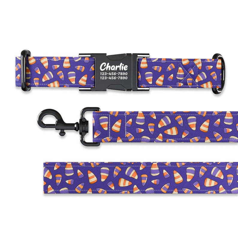May include: Purple dog collar and leash with a candy corn pattern. The collar has a black buckle with the name "Charlie" and phone number "123-456-7890" printed on it.