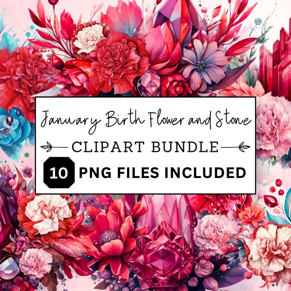 JANUARY Birth Month Flowers AND stones Clipart Bundle, Watercolour, png, DIY Flower Print, carnation bouquet, garnet crystals, procreate