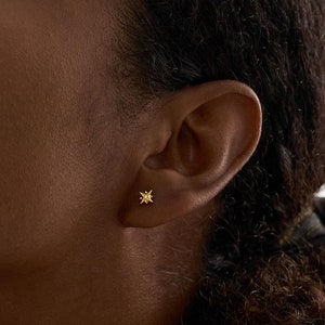 Puces d'oreilles labret en titane • Boucles d'oreilles à dos plat • Boucle d'oreille hélice • Boucle d'oreille tragus • Boucle d'oreille cartilage • Anneau de nez • Cadeau pour elle