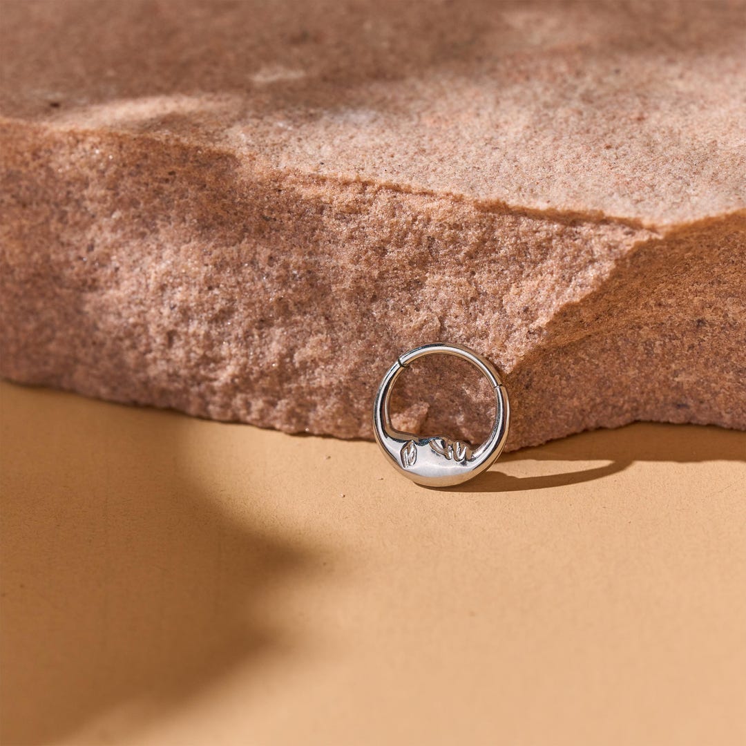 16G Surgical Steel Septum Nose Ring, Daith/rook/conch/conch Hoop Earring, Septum Jewelry, Piercing Ring,septum Clicker, Hypoallergenic Hoop - Etsy UK