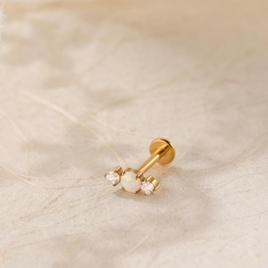Puces d'oreilles labret en titane • Boucles d'oreilles à dos plat • Boucle d'oreille hélice • Boucle d'oreille tragus • Boucle d'oreille cartilage • Anneau de nez • Cadeau pour elle