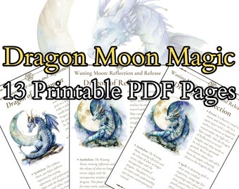 Dragon Moon Panel Carving Dragon Moon Panel Carving