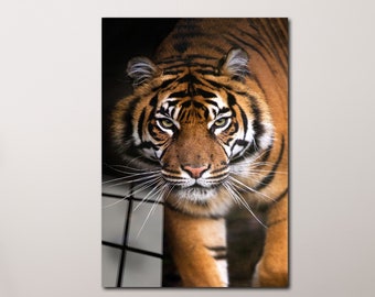 Tiger Wall Art, Tempered Glass Art, Wild Animal Glass, Animal Glass Print, Nature Animal Art, Animal Wall Decor, Housewarming Gift, Tiger