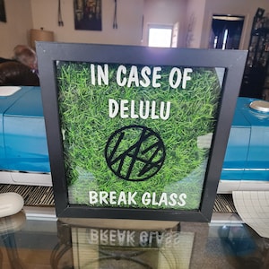 May include: A black framed shadow box with a green grass background. The text "IN CASE OF DELULU BREAK GLASS" is printed in white. A black circle with a stylized design is in the center of the box.
