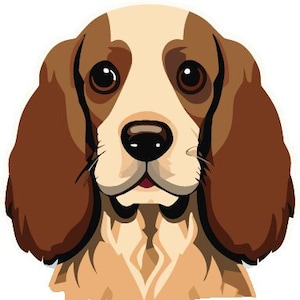 Springer Spaniel Decal Sticker