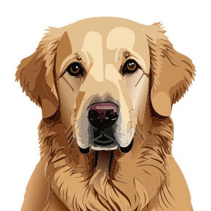Golden Retriever Decal Sticker