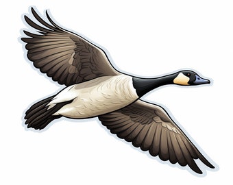 May include: A brown and white goose with a black head and neck is flying with its wings spread wide. The goose is in mid-flight against a white background.