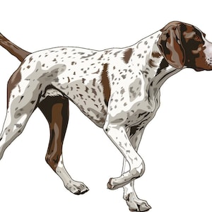 German Shorthaired Pointer Decal Sticker