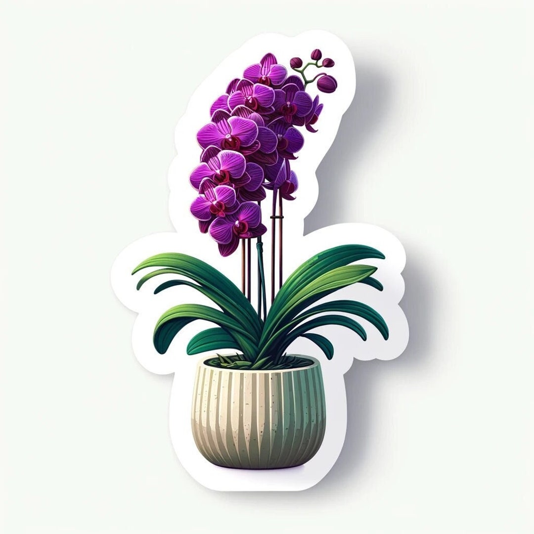 Orchid Sticker Purple Moth Orchid Decal Sticker - Etsy
