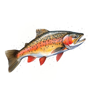 Brook Trout Decal Sticker
